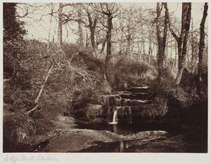 Edge Park, Cheshire, asi 1865 (albumenový tisk ze skleněného negativu) od Anonymous Anonymous