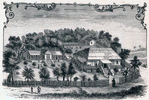 Vnější pohled na faru a školu Hell Ville (Hell-Ville) (Andoany), hlavního města ostrova Nosy Be na Madagaskaru. Rytina do „Les Missions Catholiques au XIXeme Siecle““ od Louis-Eugene (Louis Eugene) Louvet. soukromá sbírka. od Anonymous Anonymous