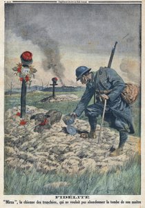 První světová válka 1914-1918 (válka 14-18). Pes odmítá opustit hrob svého mrtvého pána v příkopu. V „“Le Petite Journal“ dne 10.09.1916. Soukromá sbírka od Anonymous Anonymous