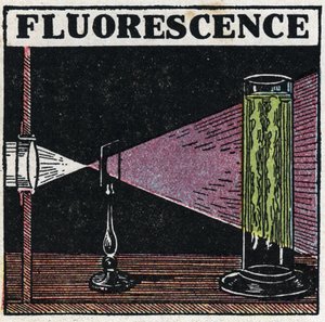 Fluorescence: důkaz fluorescence těles. Anonymní ilustrace z roku 1925. Soukromá sbírka. od Anonymous Anonymous