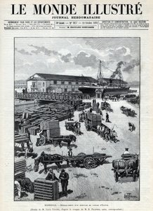 Námořní obchod: štěkot příchodu křepelek z Egypta do přístavu Marseille. Noviny. Rytina v „Le monde illustree““ z roku 1892. Soukromá sbírka. od Anonymous Anonymous