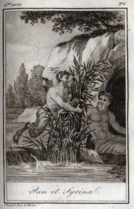 Pan a nymfa Syrinx se proměnili v rákosí (Pan a Nymph Syrinx). Rytina z roku 1819 v „Lettres a Emilie sur la mythologie“ od Charlese Alberta Demoustiera (1760-1801). Soukromá sbírka. od Anonymous Anonymous