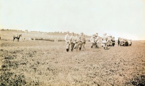 Fotografie z osobního alba poručíka pěchoty během prvních měsíců první světové války (1., Iere od Anonymous Anonymous