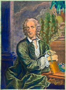 Portrét Carla von Linnea (1707-1778) švédského přírodovědce - Privee Collection od Anonymous Anonymous