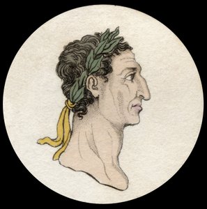Portrét císaře Nervy (Marcus Cocceius Nerva) (26-98 n. l.). Rytina 19. století. milánský od Anonymous Anonymous