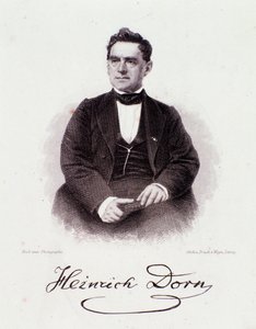 Portrét Heinricha Dorna (1804-1892) německý dirigent, skladatel a novinář 19. století. Milánská soukromá sbírka od Anonymous Anonymous