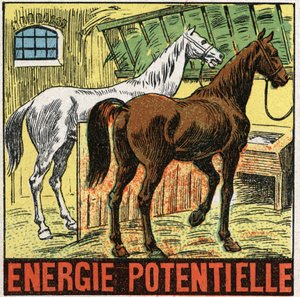 Potenciální energie: koně odpočívající ve stáji. Anonymní ilustrace z roku 1925. Soukromá sbírka. od Anonymous Anonymous