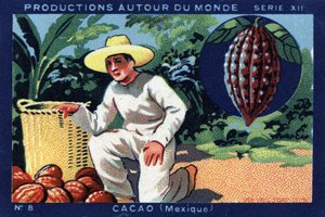 Produkce po celém světě: Kakao v Mexiku. Chromolitografie z roku 1933 v „Album Josepha-Milliata““ od Anonymous Anonymous