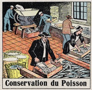 Studený průmysl: Zachování ryb v ledu. Anonymní ilustrace z roku 1925. Soukromá sbírka. od Anonymous Anonymous