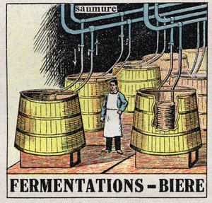 Studený průmysl: fermentace na výrobu piva. Anonymní ilustrace z roku 1925. Soukromá sbírka. od Anonymous Anonymous