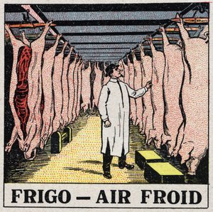 Studený průmysl: skladování masa v lednicích. Anonymní ilustrace z roku 1925. Soukromá sbírka. od Anonymous Anonymous