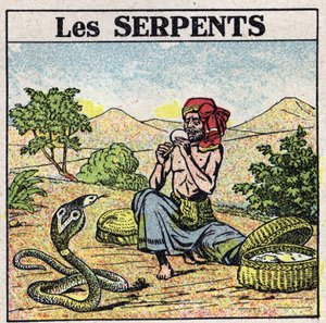 Účinky hudby: Zaklínač kobrích hadů. Anonymní ilustrace z roku 1925. Soukromá sbírka. od Anonymous Anonymous