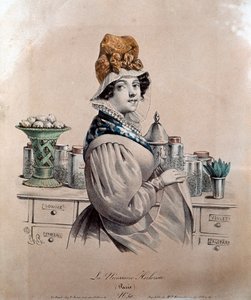 Herborista (rytina od Anonymous Anonymous