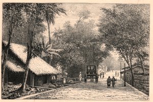 Pohled na ulici z Colomba na Cejlonu (Srí Lanka). Rytina v „Katolické misie v XIX. století“ od Louis-Eugene (Louis Eugene) Louveta. soukromá sbírka. od Anonymous Anonymous