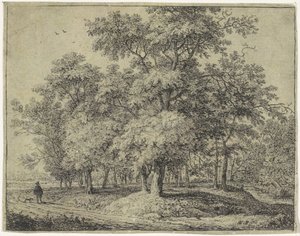 Muž se psem v lese Forest Views, série A (název série) od Anthonie Waterloo