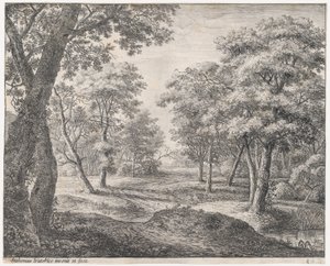Cesta lesem, 17. století. od Anthonie Waterloo