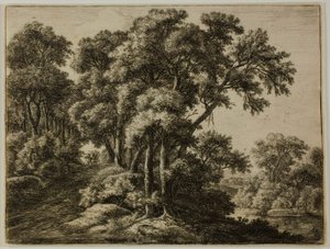 Lesní stezka od Anthonie Waterloo