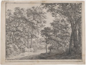 The Trimmed Groves, 17. století. od Anthonie Waterloo