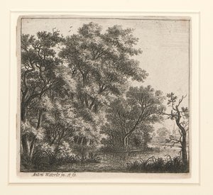 Zalesněný ostrov od Anthonie Waterloo