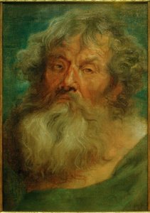 Hlava starého muže od Anthony van Dyck