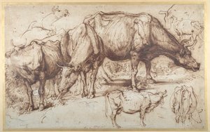 Dobytek na pastvě, cca 1618-20 (pero a inkoust s mytím na papíře) od Anthony van Dyck