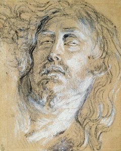 Hlava mrtvého Krista (uhl a křída na papíře) od Anthony van Dyck