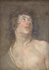 Studijní hlava mladého muže, který se dívá nahoru. Svatý Sebastian od Anthony van Dyck