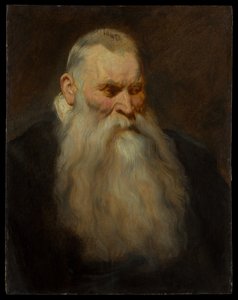 Studie hlavy starého muže s bílým plnovousem od Anthony van Dyck