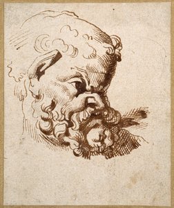 Studie antické hlavy Silena (pero a inkoust na papíře) od Anthony van Dyck