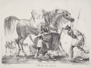 Pouštní Arab (Pouštní Arab)