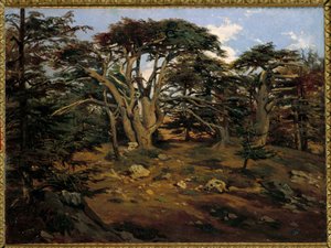 Staré cedry na hoře Libanon v Boumana Painting od Antoine Alphonse Montfort (1802-1884) 19. století Sun. 0,32x0,44 m Paříž, muzeum Orsay od Antoine Alphonse Montfort