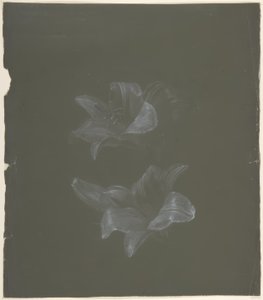 květinový design