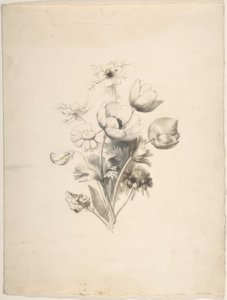 květinový design od Antoine Berjon