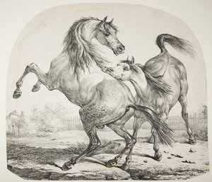 Boj divokých koní, kolem roku 1820 od Antoine Charles Horace Vernet