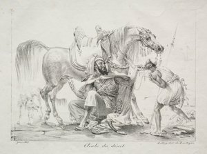 Arab z pouště od Antoine Jean Gros