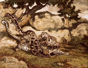 Python zabíjející tygra (wc a kvaš na papíře) od Antoine Louis Barye