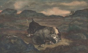 Bear Killing Bull, 1810-75. od Antoine Louis Barye