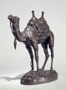 Egyptský dromedár s postrojem (bronz)