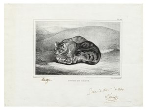 studium koček od Antoine Louis Barye