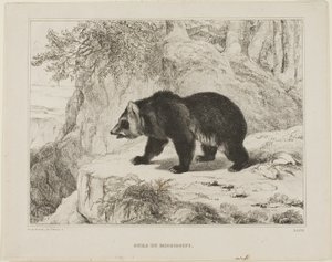Mississippi medvěd od Antoine Louis Barye