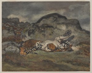Rolling Tiger, cca 1840 (wc na papíře) od Antoine Louis Barye