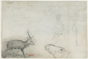 Studie zvířat naopak. od Antoine Louis Barye