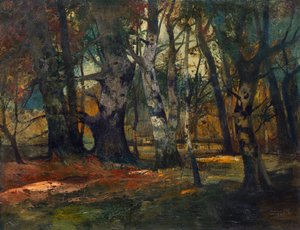 podzimní les od Anton Müller Wischin