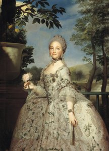 Portrét Marie Luisy Parmské jako princezny z Asturie, cca 1764-1765 od Anton Raphael Mengs