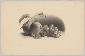 Jablka, bobule, ostružiny a hrozny Flower and Fruit Studies (...) 3. epizoda (název série) od Anton Weiss