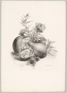 Květiny, jablka, hrušky, granátové jablko a ostružiny Flower and Fruit Studies (...) 10. epizoda (název série)