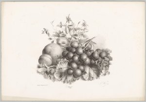 Květiny, broskev, nektarinka, hrozny a ostružiny Flower and Fruit Studies (...) 10. epizoda (název série) od Anton Weiss