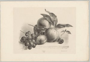 Hrozny, švestky, broskve a třešně Flower and Fruit Studies (...) 10. epizoda (název série) od Anton Weiss