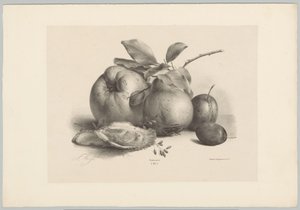 Ovoce, švestky a ústřice Flower and Fruit Studies (...) 10. epizoda (název série) od Anton Weiss