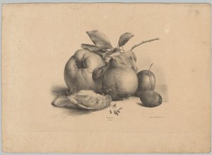 Ovoce, švestky a ústřice Flower and Fruit Studies (...) 10. epizoda (název série) od Anton Weiss